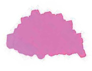 Kobe Ink No. 61 Yuki Gosyo Sakura