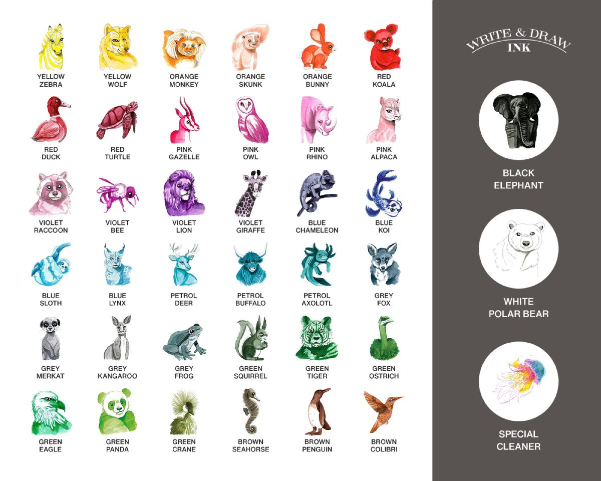 Octopus - Write and Draw - Grey Frog