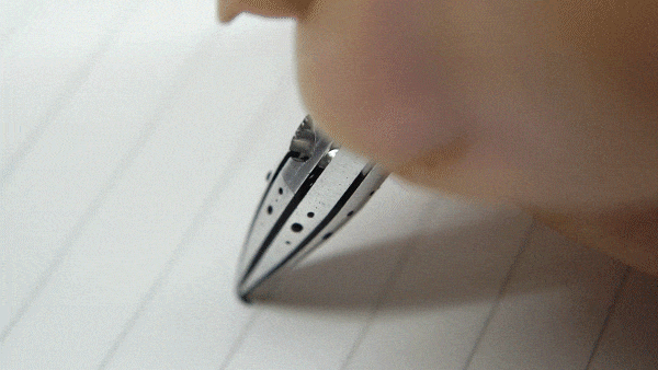 Colorverse Shuttle Project - Feder