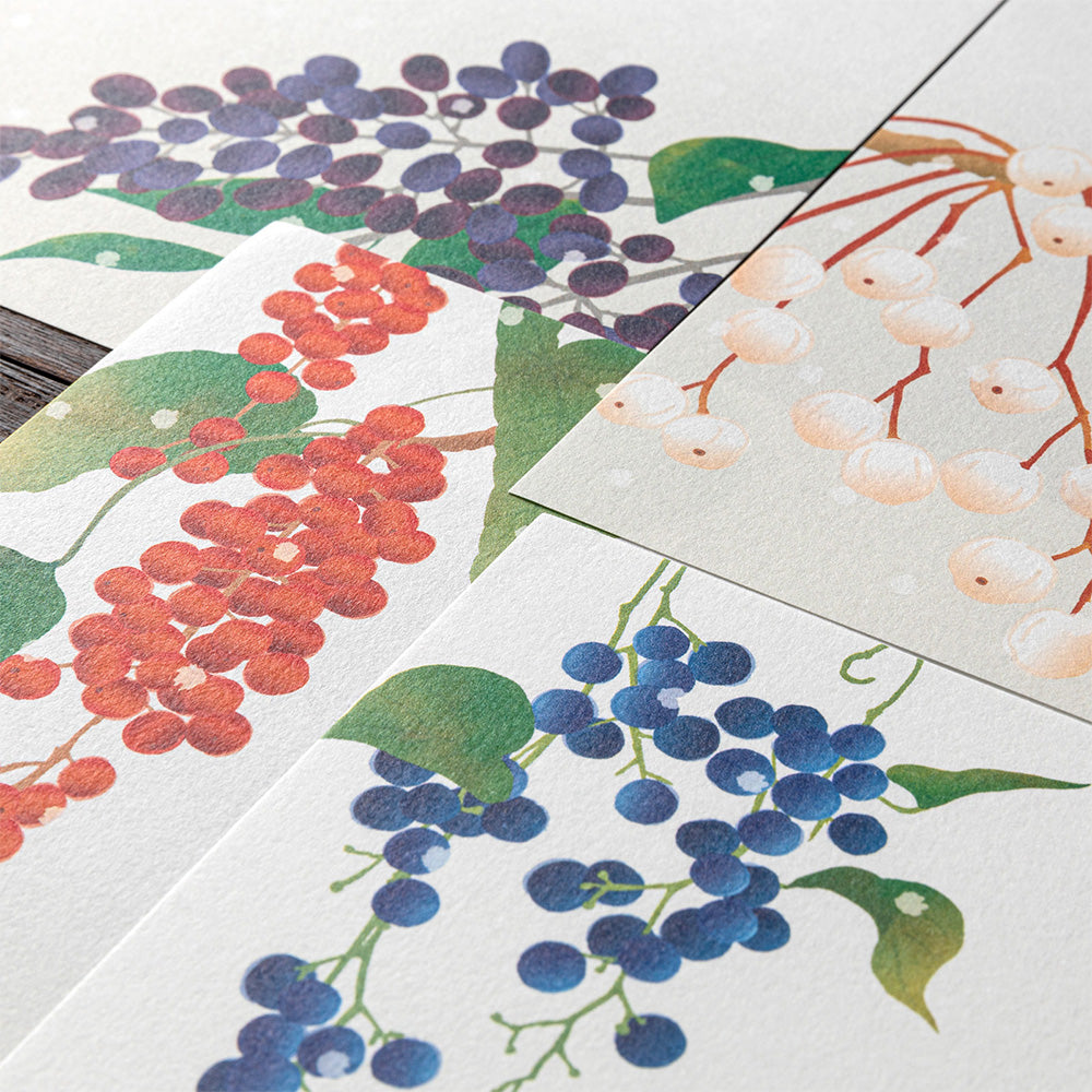 Midori - Seasonal Paper Briefpapier Edition Winter - Früchte