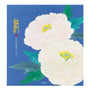 Midori - Seasonal Paper Briefpapier Edition Winter - Peonie