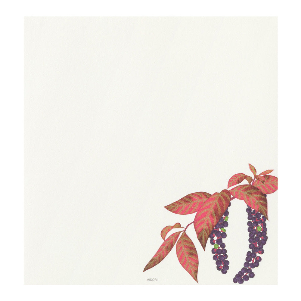Midori - Seasonal Paper Briefpapier Edition Autumn 26 - Autumn Fruits