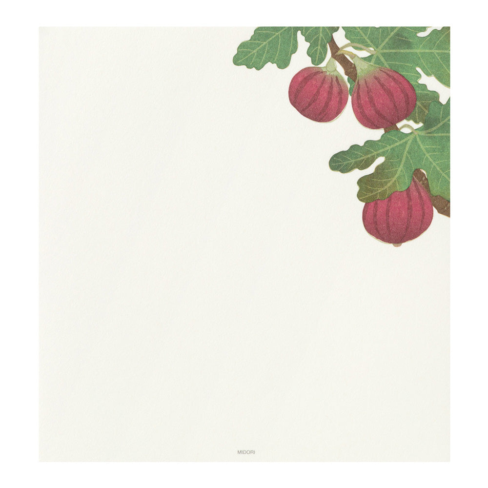 Midori - Seasonal Paper Briefpapier Edition Autumn 26 - Autumn Fruits