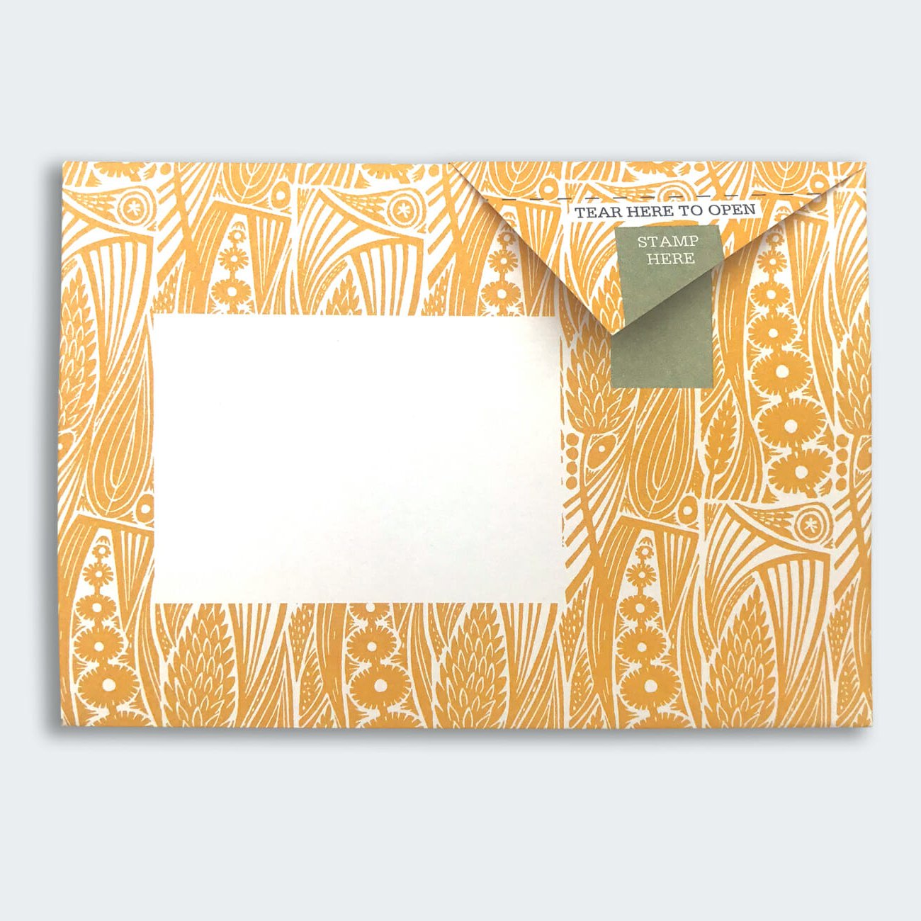 Pigeon - Nature Study Briefset