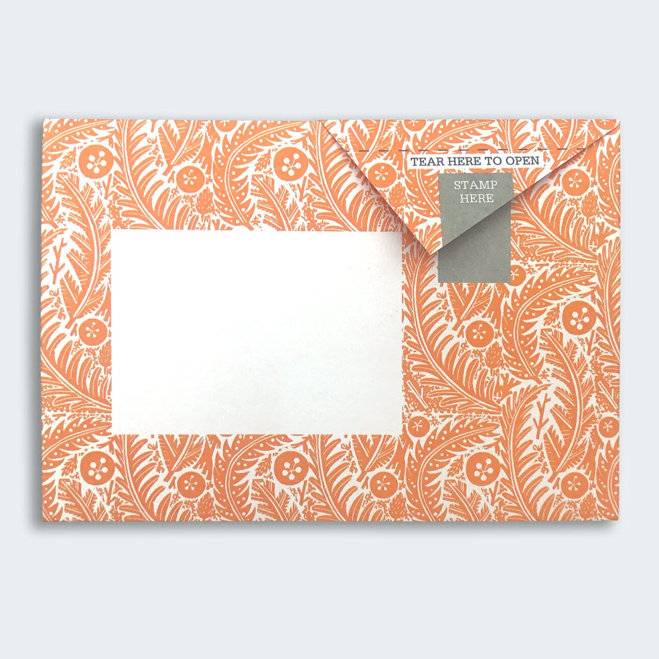 Pigeon - Nature Study Briefset
