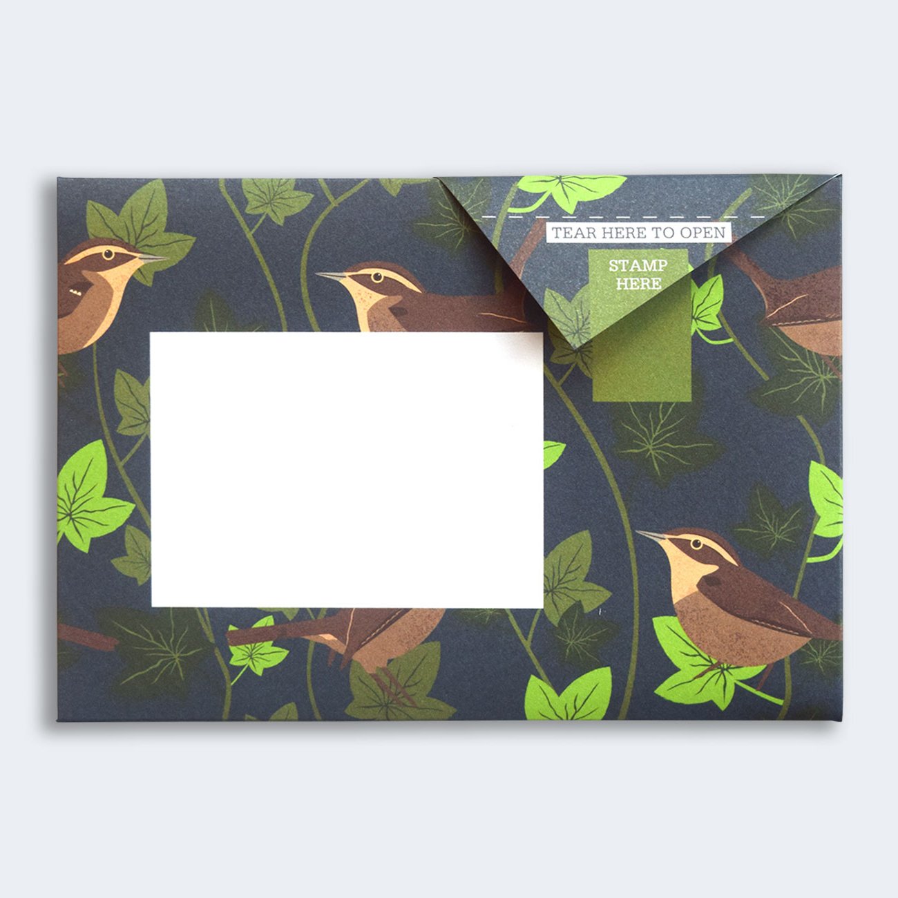 Pigeon - Robin and Wren Briefset
