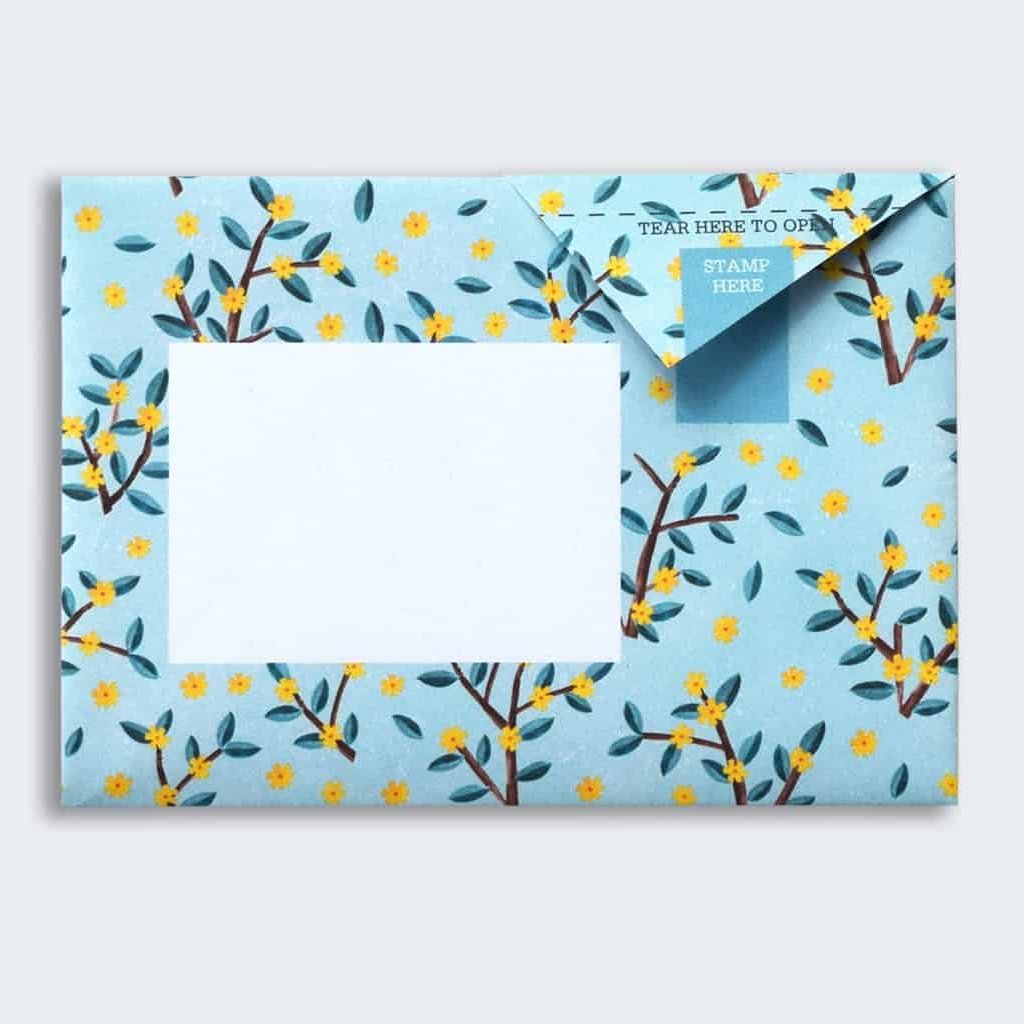 Pigeon - Wildflower Briefset
