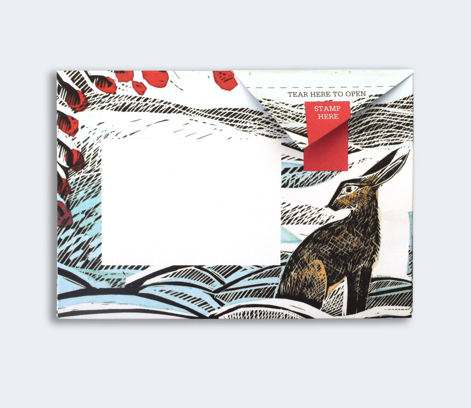 Pigeon - Wonderfully Wild Briefset