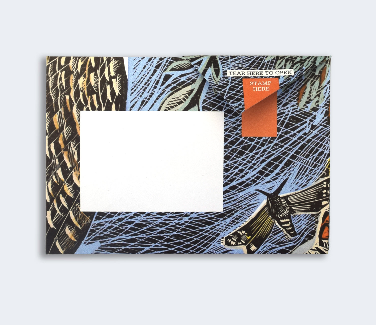 Pigeon - Wonderfully Wild Briefset