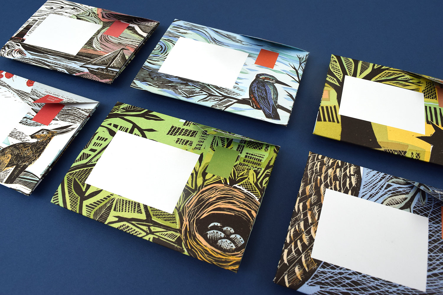 Pigeon - Wonderfully Wild Briefset
