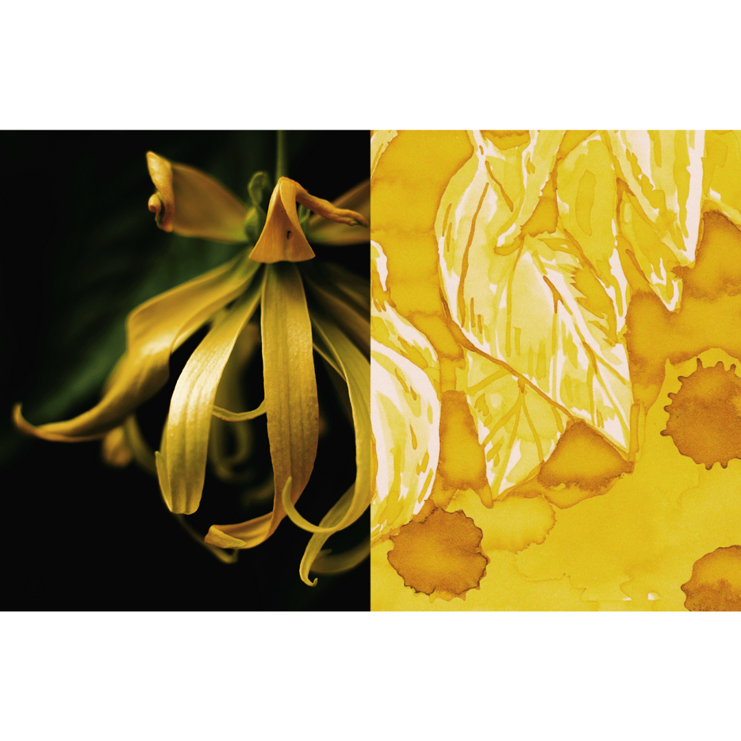 Dominant Industry - Ylang Ylang