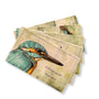 Esterbrook x Bungubox - the Kingfisher, Blotter Papier