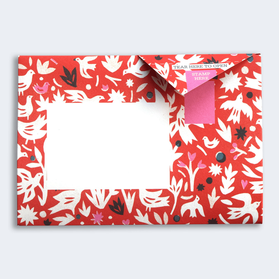 Pigeon - Fiesta Briefset