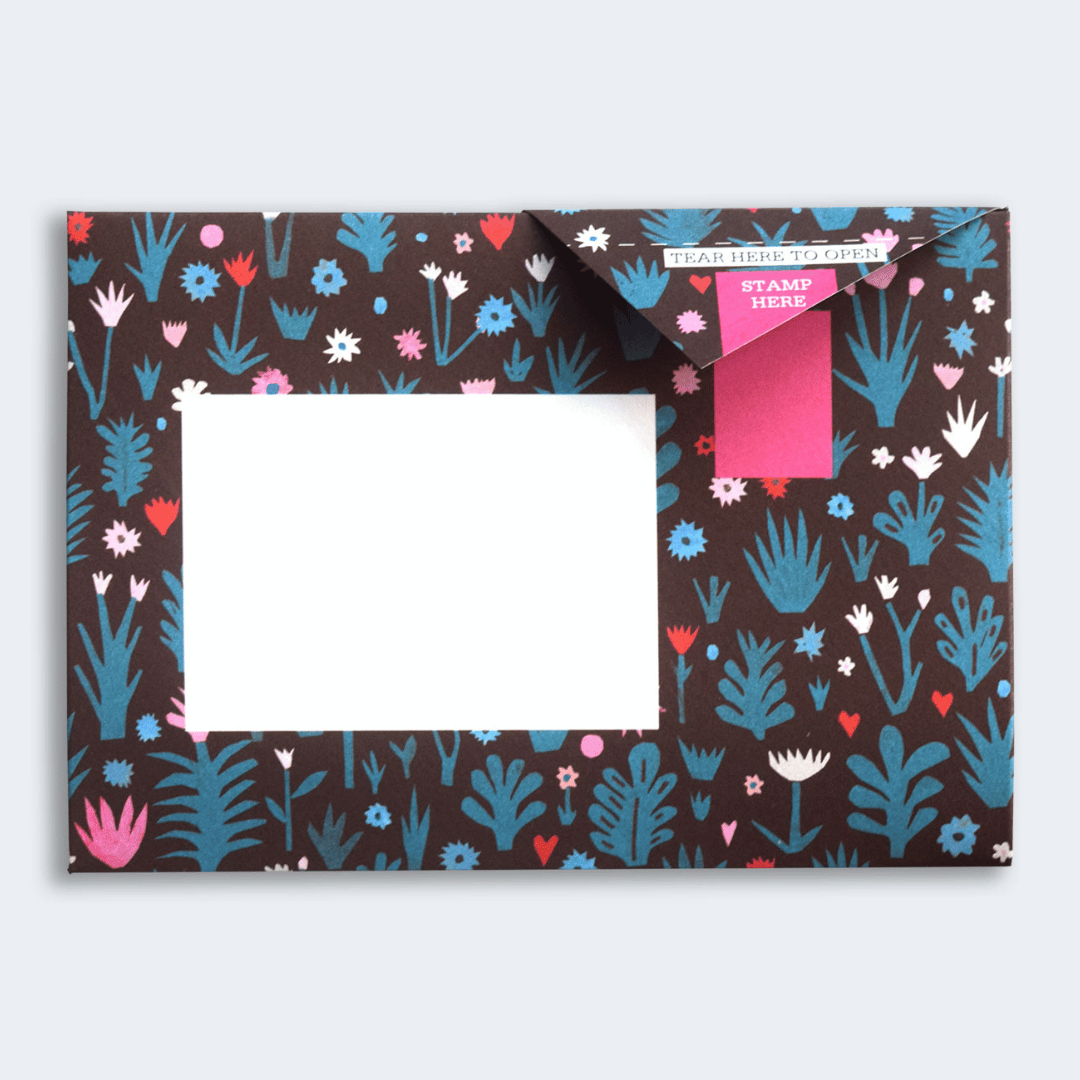 Pigeon - Fiesta Briefset