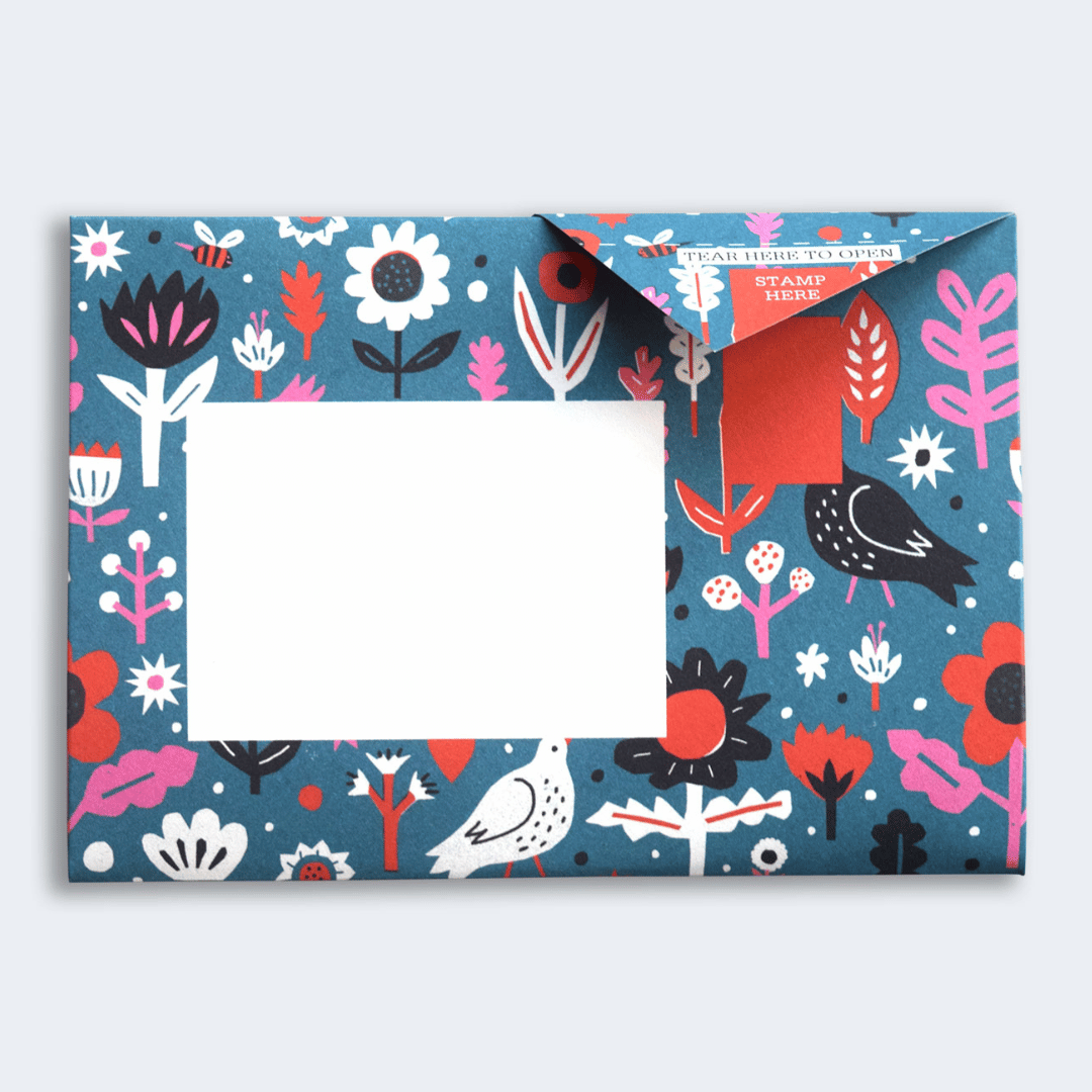 Pigeon - Fiesta Briefset