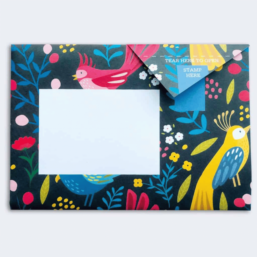 Pigeon - Magical Menagerie Briefset