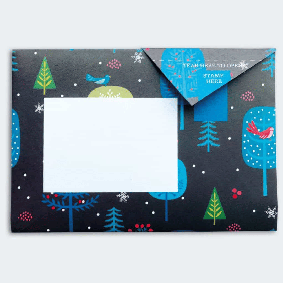 Pigeon - Magical Menagerie Briefset