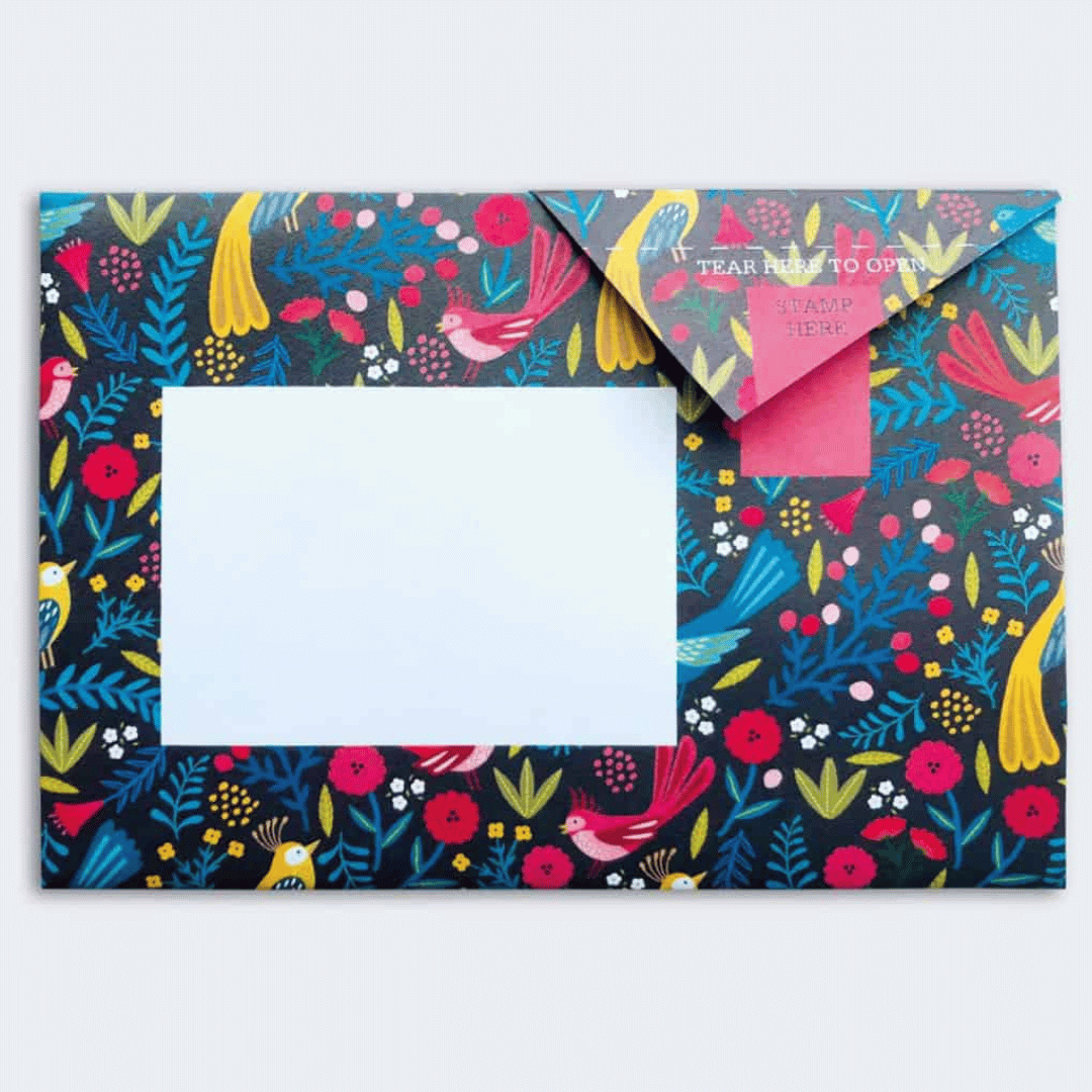 Pigeon - Magical Menagerie Briefset