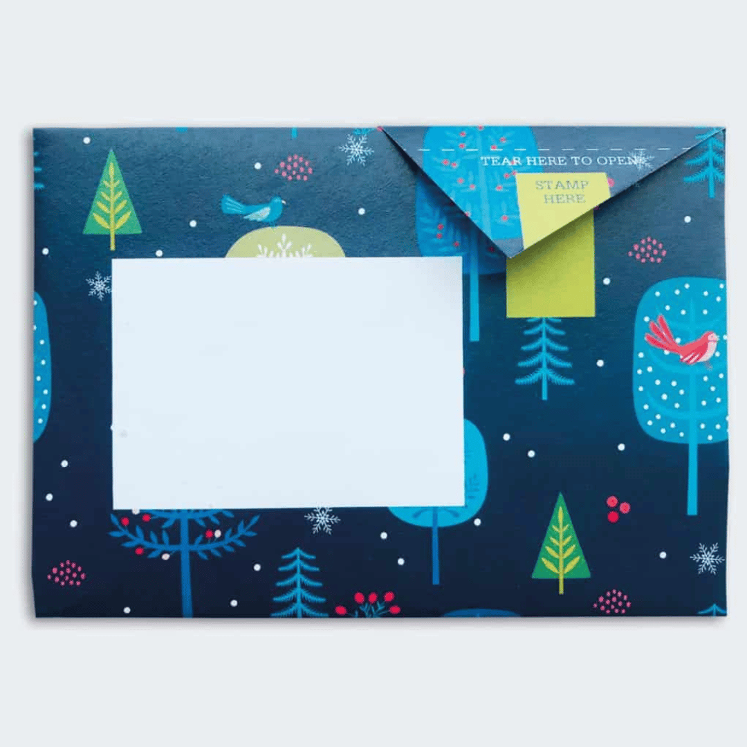 Pigeon - Magical Menagerie Briefset