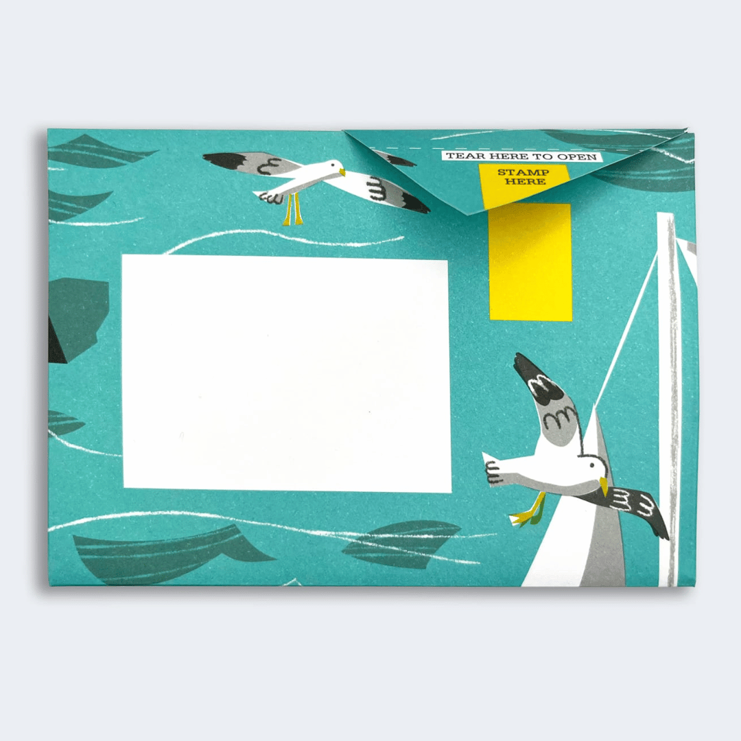 Pigeon - Safe Harbour Briefset