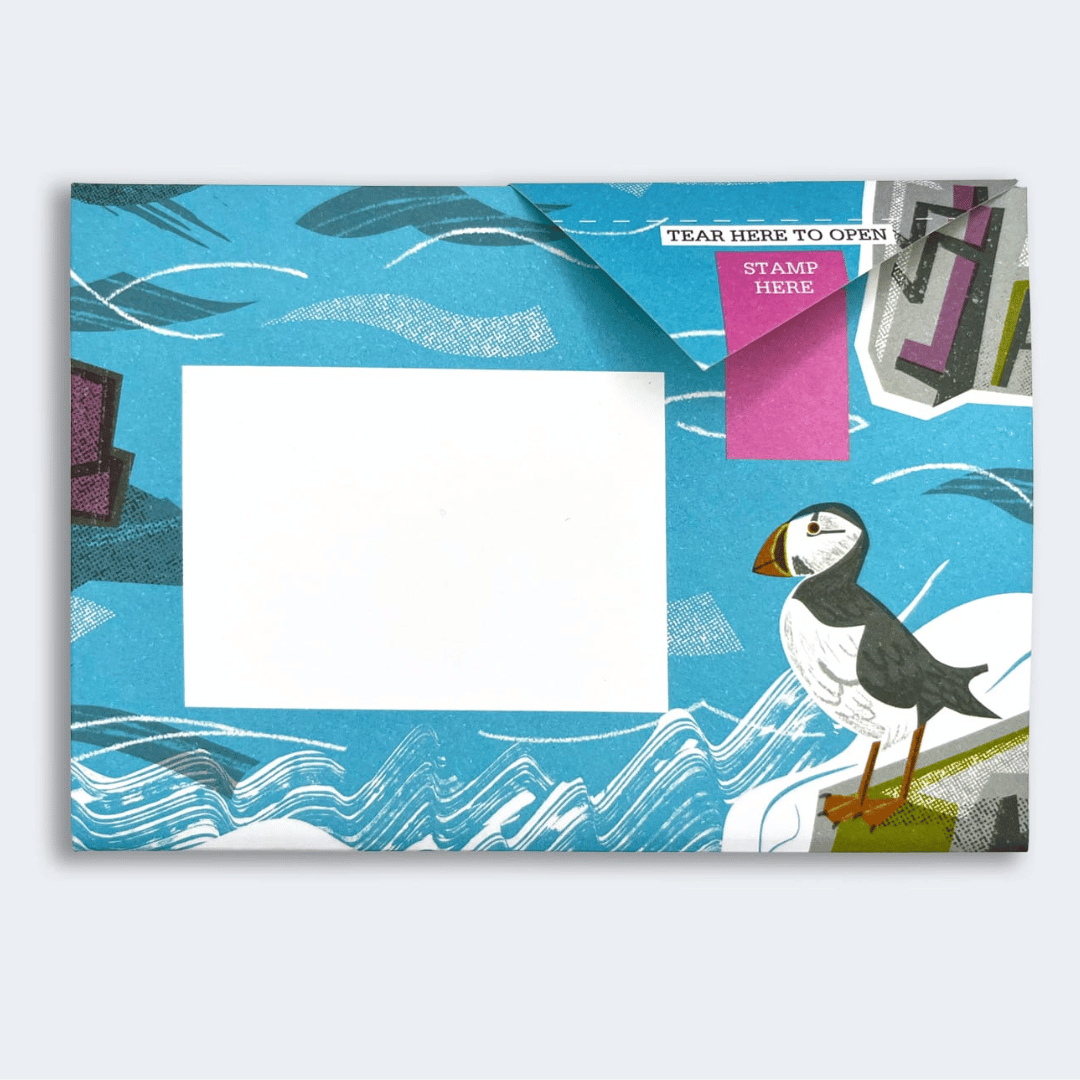 Pigeon - Safe Harbour Briefset