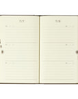 Midori Daily Diary - 3 Jahre braun