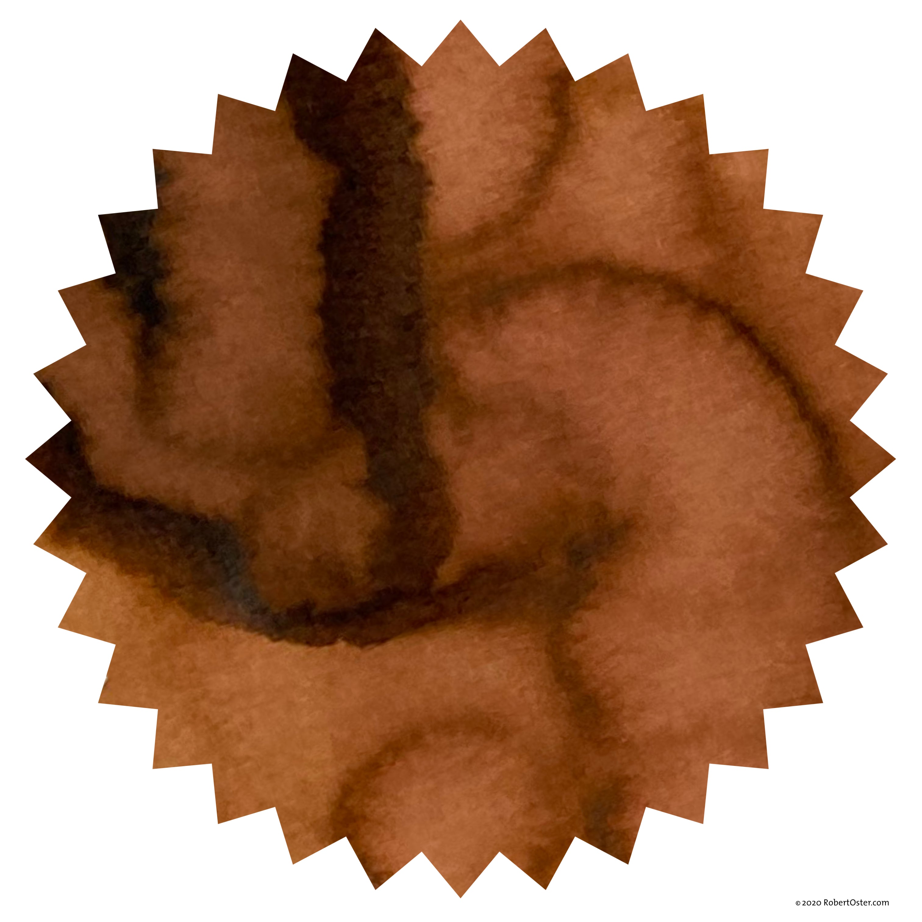 Robert Oster Signature Tinte - Australis Oak