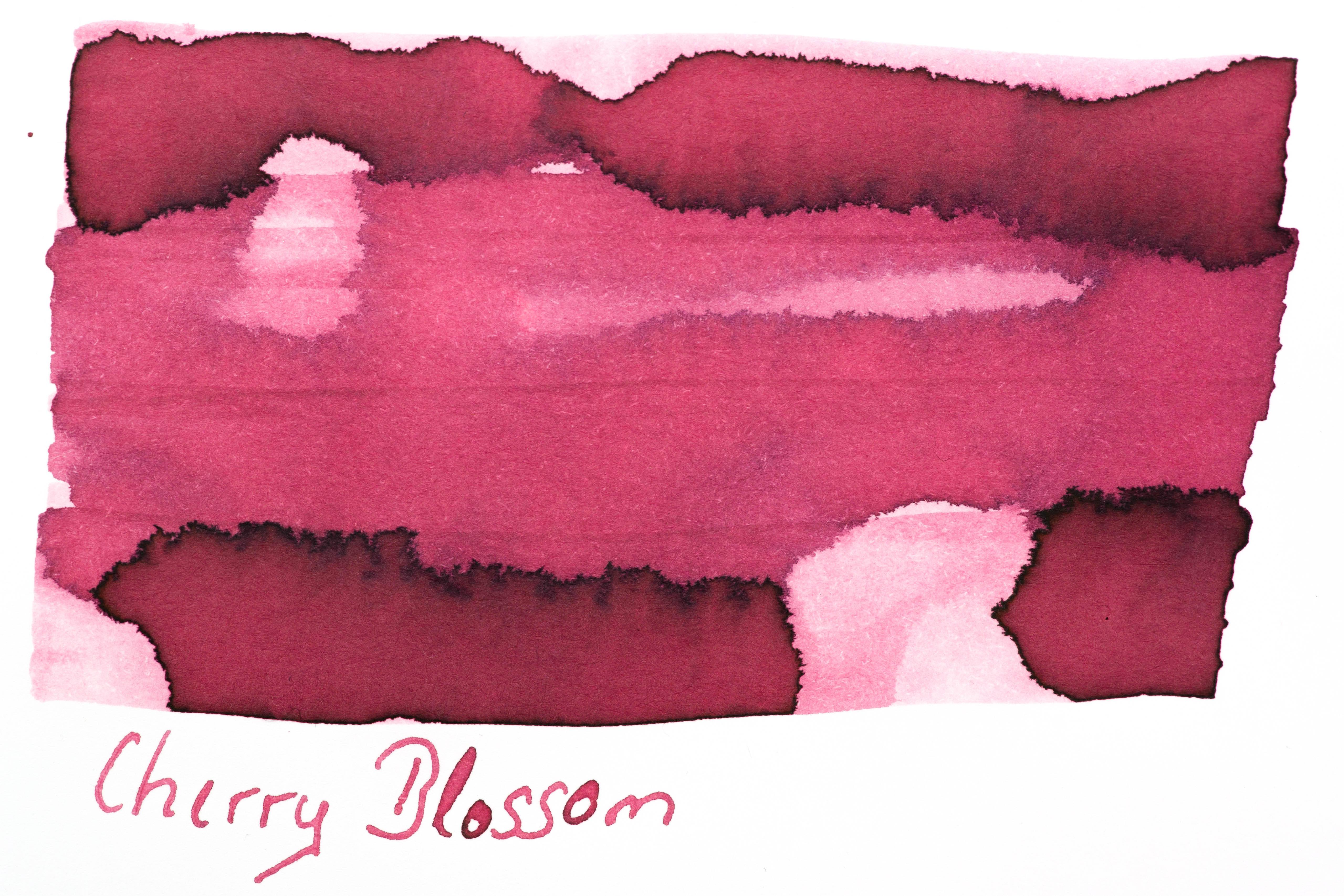 Robert Oster Signature Ink - Cherry Blossom