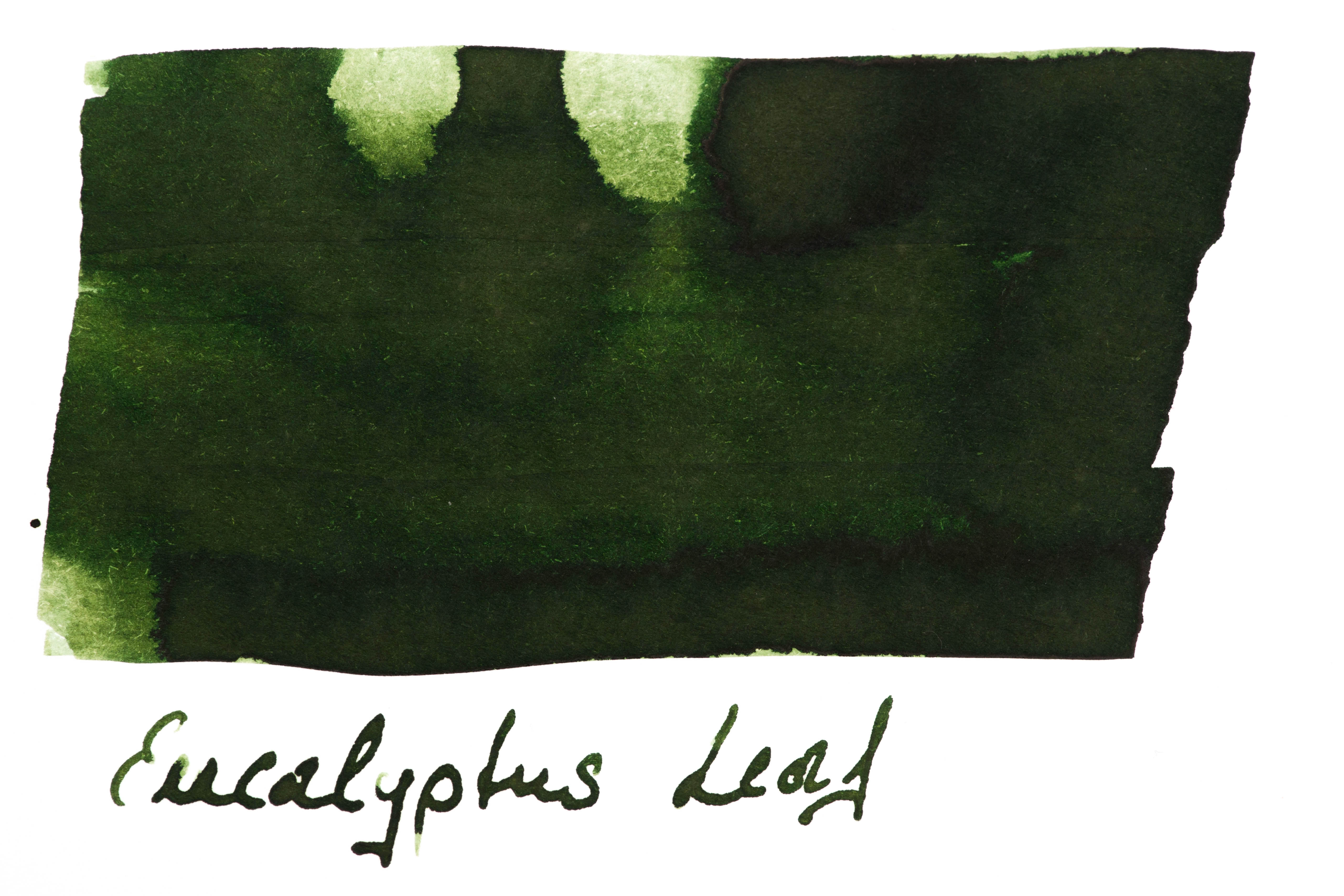 Robert Oster Signature Ink - Eucalyptus Leaf