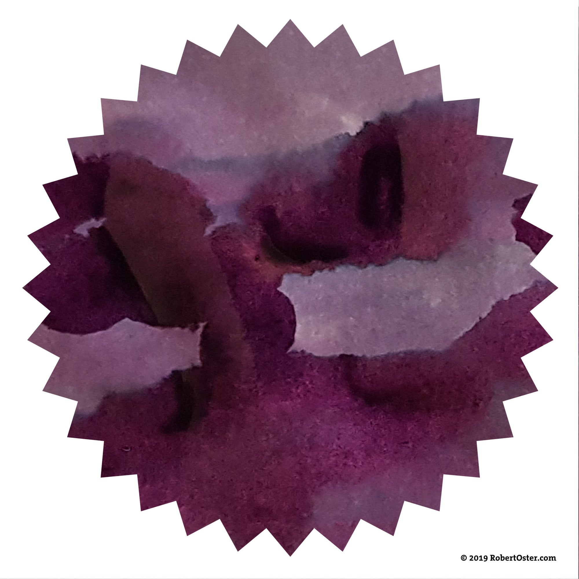 Robert Oster - Barossa Grape