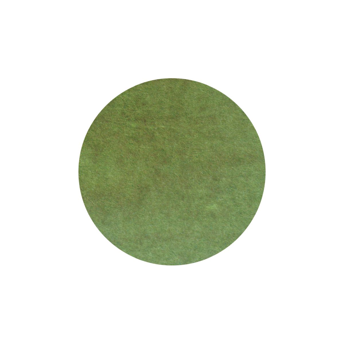 Teranishi Ink Haikara - Gentle Green