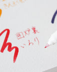 Shikiori calligraphy set